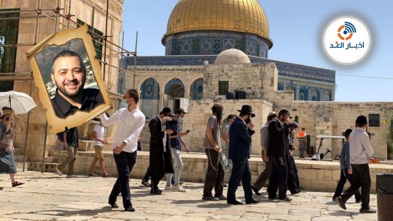 هل تضرب إسرائيل موعدًا لذبح البقرة الحمراء يوم عيد الفطر؟