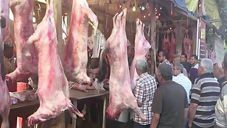 عضو شعبة القصابين: ارتفاع أسعار اللحوم إلى 450 جنيه للكيلو