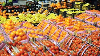 الصادرات الزراعية المصرية