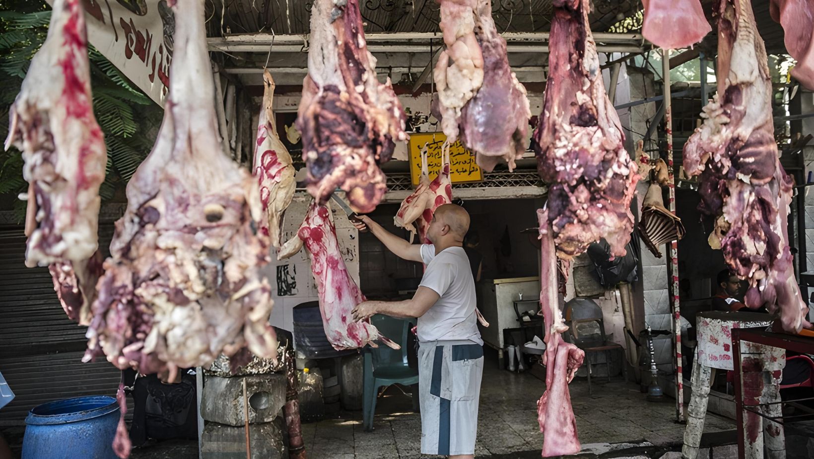 انخفاض منتظر في أسعار اللحوم بناء على تصريحات نقيب الفلاحين