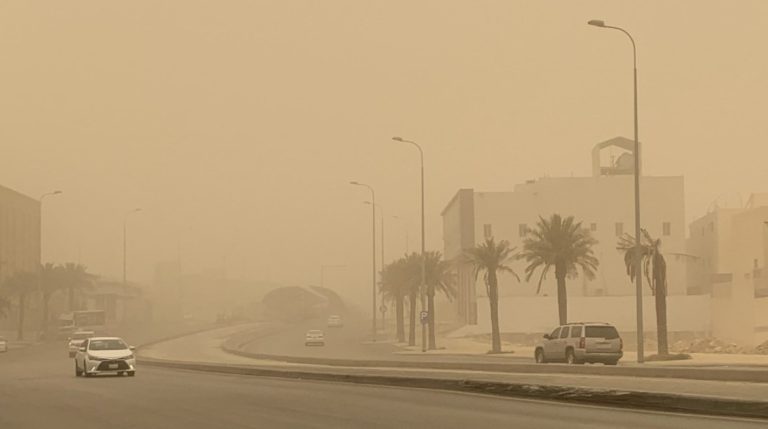 رياح الخماسين.. فئات ممنوعة من الخروج في العواصف والرياح