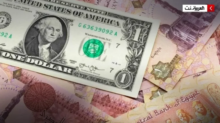 ارتفاع سعر الدولار في البنوك المصرية بـ 48.82 جنيه لليوم الثالث على التوالي