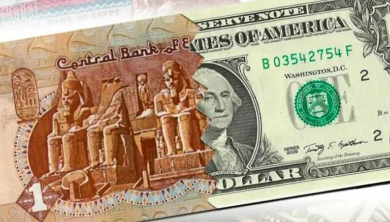 سعر الدولار يستقر أمام الجنيه المصري في ثاني أيام عيد الأضحى المبارك