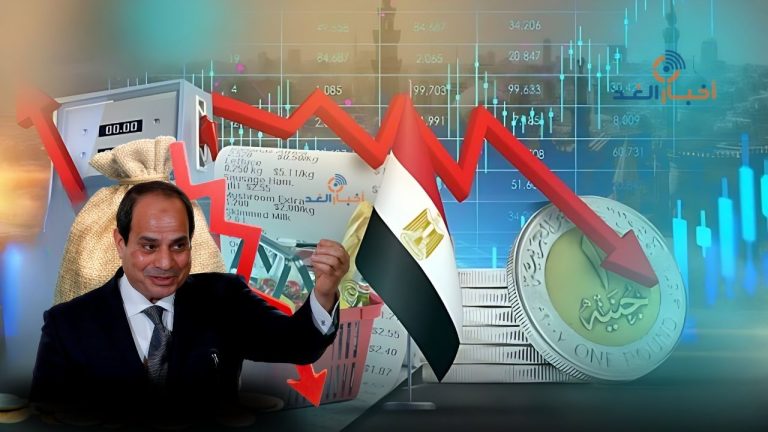 المتحدث باسم مجلس الوزراء : خسائر الاقتصادية لمصر بالمليارات بسبب حرب غزة