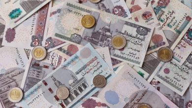 ما هو وضع الاقتصاد المصري بعد اشتراطات صندوق النقد الدولي