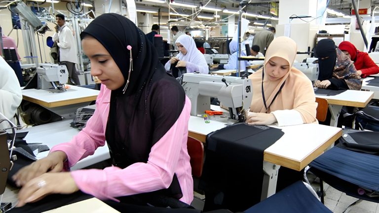 مؤشر مساواة النساء في العمل: مصر تحتل المركز 175 بين 190 دولة