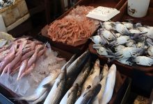 أسعار الأسماك في سوق الجملة