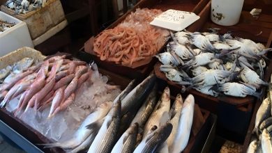 أسعار الأسماك في سوق الجملة