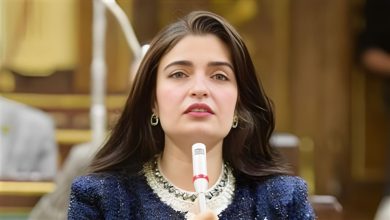 النائبة إيرين سعيد، عضو مجلس النواب