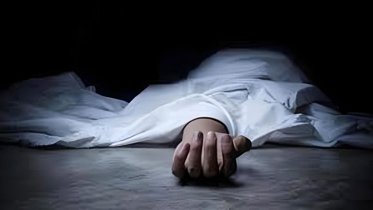 سيارة مسرعة علي طريق المحلة- طنطا تتسبب في مصرع سيدة وابنتها