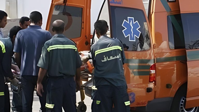 انقلاب ميكروباص على طريق أبو سمبل يسفر عن إصابة 11 شخص
