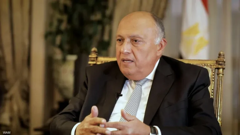 سامح شكري: مصر ستتصدى لأي محاولات تؤثر سلبيا على أمنها المائي