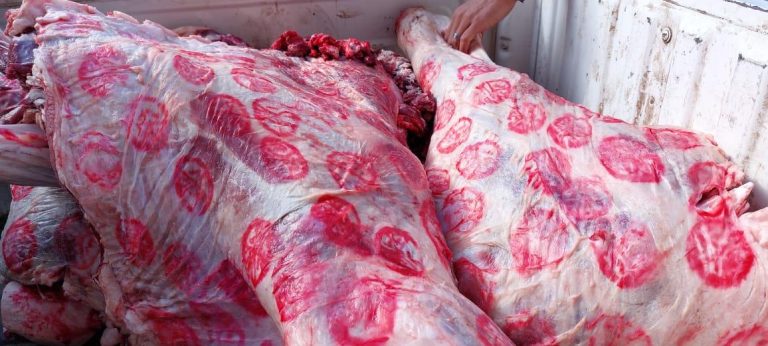 الشكوك تحيط بمبادرات خفض أسعار اللحوم رغم أختام المجازر