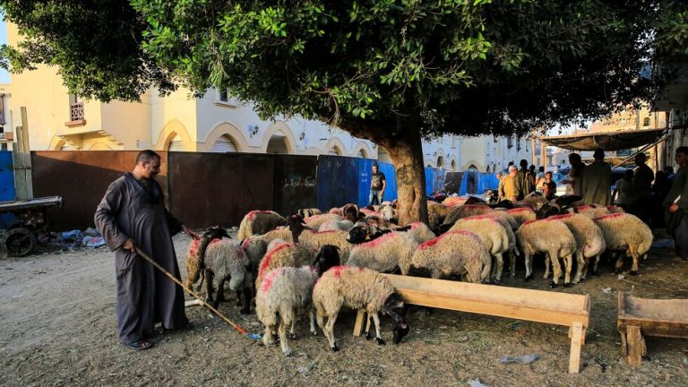 رئيس معهد الفلك المصري يكشف موعد أول أيام عيد الأضحى