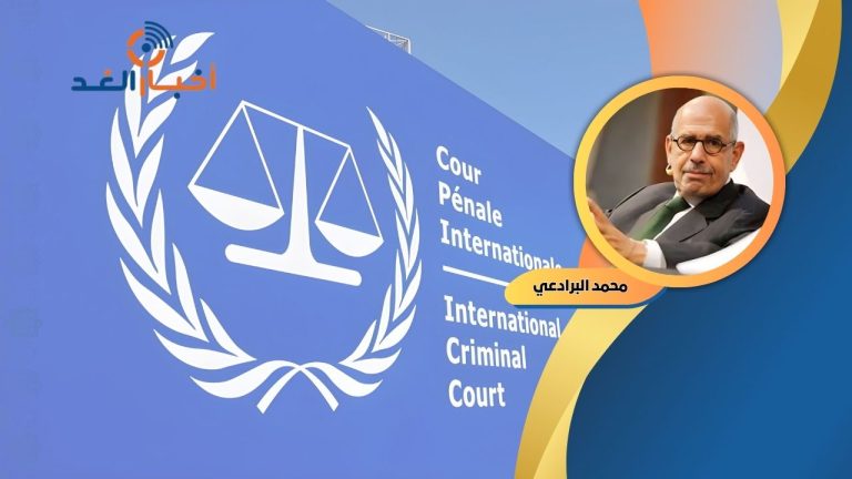 البرادعي: الجنائية الدولية ليست ذات اختصاص في مسائل الاحتلال أو المقاومة في القانون الدولي