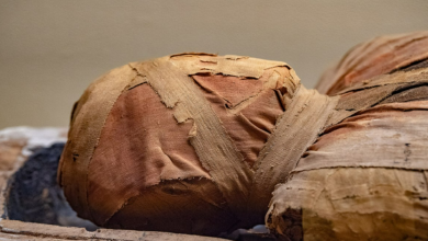 اكتشاف جزء من مومياء فرعونية في أسوان .. التطورات والإجراءات القانونية