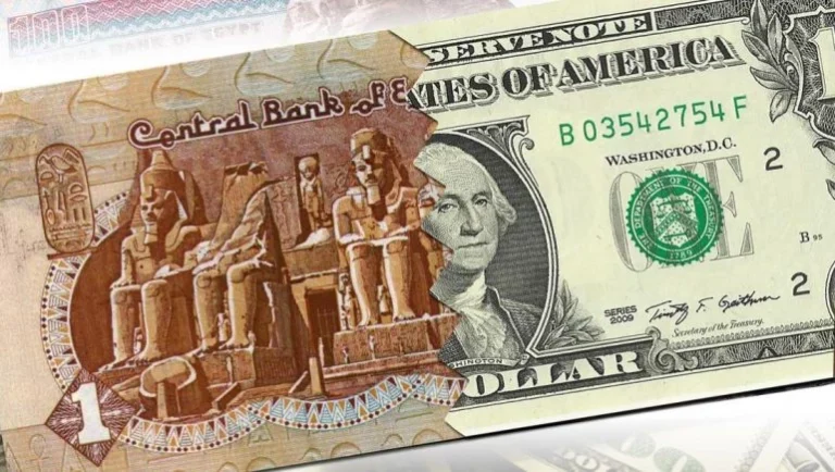 الدولار يهبط 25 قرشا مقابل الجنيه المصري في أسعار البنوك المصرية