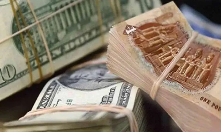 استقرار أسعار العملات بعد قرار البنك المركزي المصري