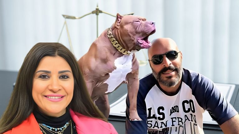 تأييد حبس زوج المذيعة أميرة شنب 6 أشهر بتهمة التسبب في وفاة مدير بنك – AARC مصر