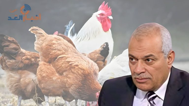 شعبة الدواجن تُفسّر أسباب الارتفاع المفاجئ في أسعار الدجاج بالأسواق اليوم الثلاثاء