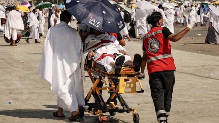 إنشاء خلية أزمة للتعامل مع عواقب وفاة الحجاج المصريين