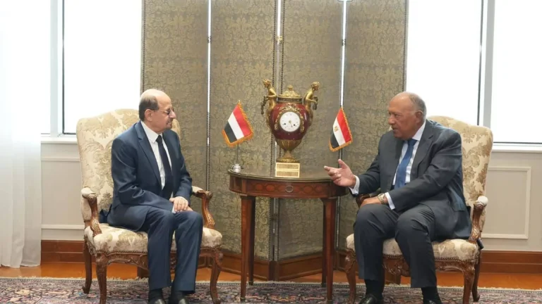 مصر واليمن يحذران من التصعيد المستمر في البحر الأحمر