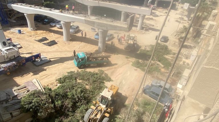 استنكار شعبي واسع بسبب حملات قطع أشجار الشوارع في مصر