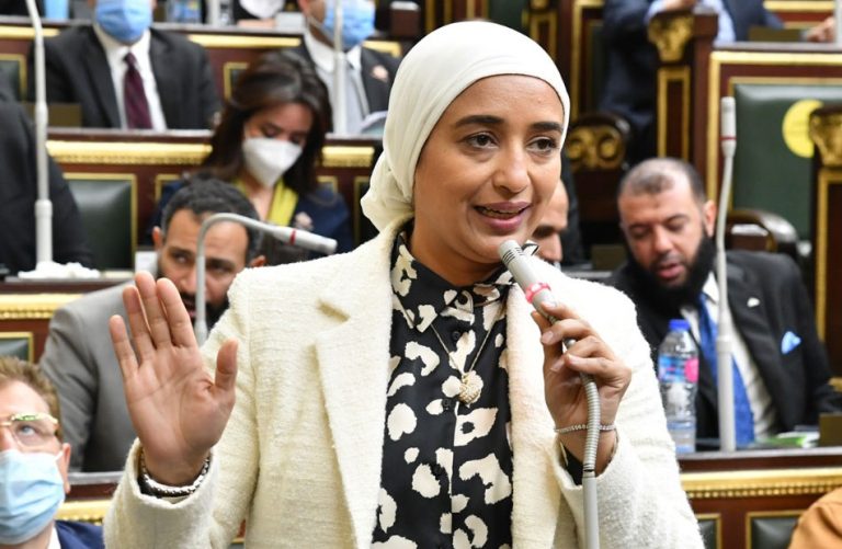 أبو شقة تطالب وزير المالية بالكشف عن تفاصيل الصناديق السرية في مصر