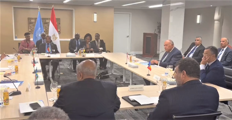 مؤتمر إفريقي في القاهرة لبحث وقف الحرب في السودان