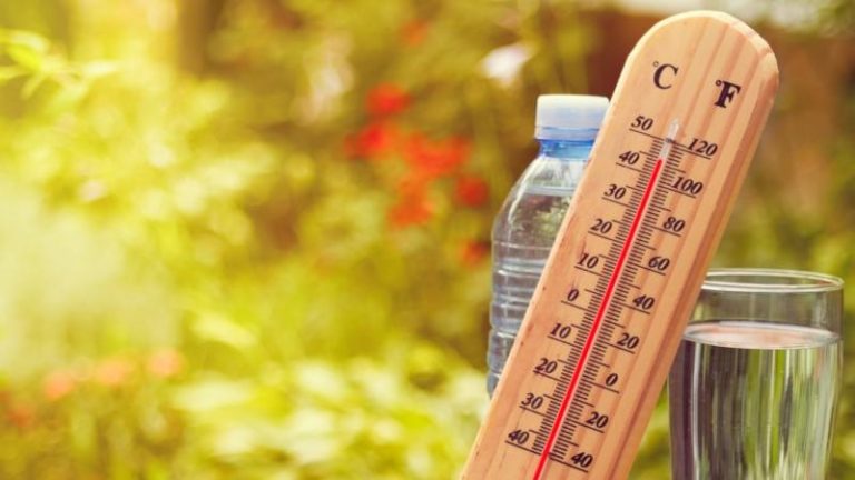 “بلومبرغ” مصر تتصاعد تحت حرارة التحميص ومشاكل للحياة اليومية والمحاصيل