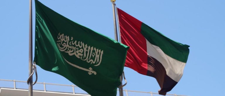 الإمارات: لا نعترف بسيادة السعودية على “الياسات”