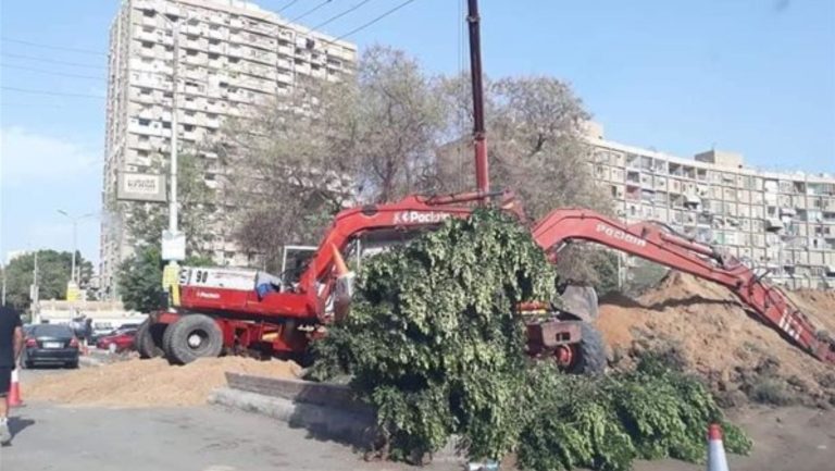 النائبة مها عبدالناصر: مصر فقدت مليون متر مربع مساحات خضراء في 4 سنوات