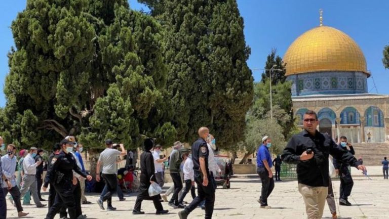 مستوطنون يقتحمون باحات المسجد الأقصى تحت حماية قوات الاحتلال