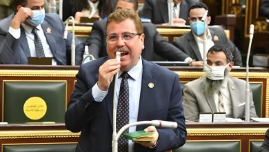 عضو بالنواب: تقليص عدد الوزارات يعتبر من بين الأولويات في سياق ترشيد الإنفاق الحكومي