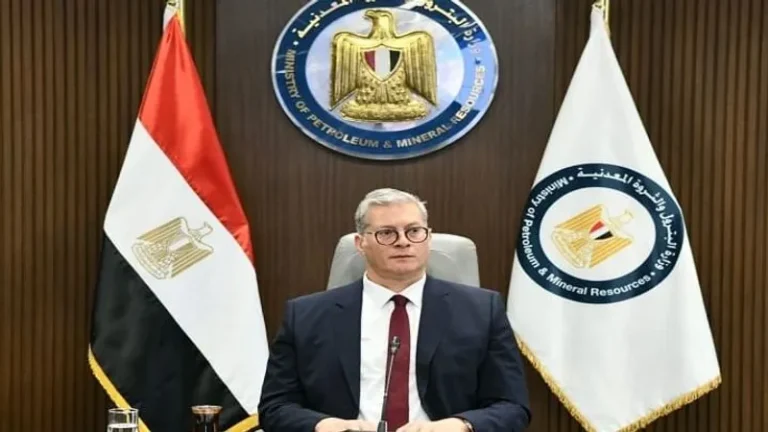 مصر..وزارة البترول تنجح في تلبية احتياجات محطات الكهرباء