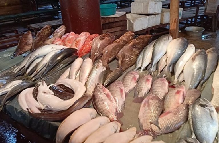 تباين أسعار السمك والجمبري في سوق العبور اليوم كيلو البلطي بـ 63 جنيها.
