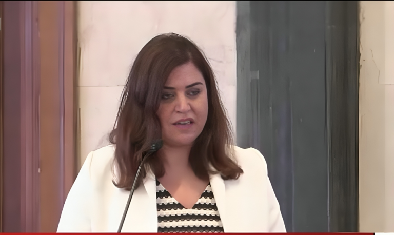 رؤية نايلة حجار : أهمية الحوار السوداني الشامل في تحقيق السلام: