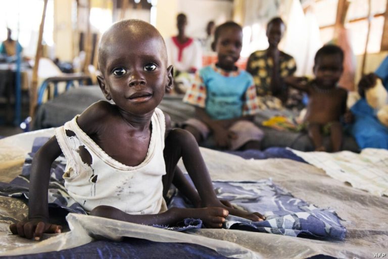 15 دولة عربية وإفريقية تعرب عن قلقها بشأن المجاعة في السودان