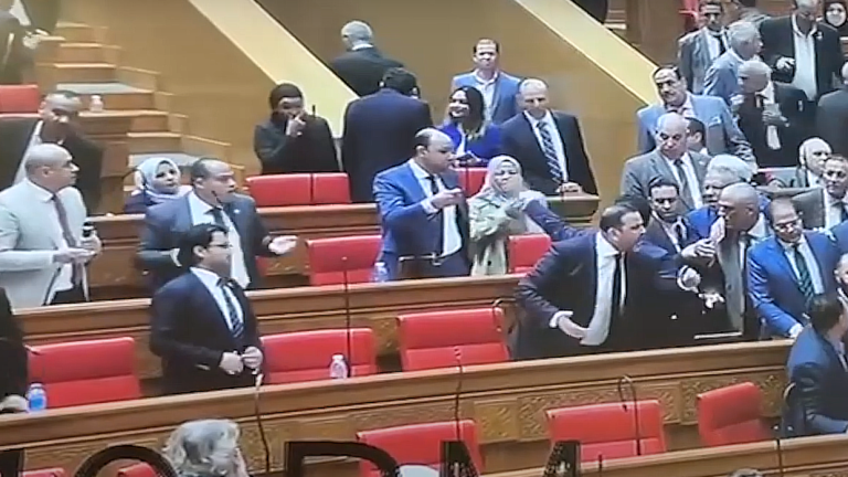 أعضاء مستقبل وطن يهاجمون نائبا انتقد بيان الحكومة..ود.أيمن نور يُعلّق