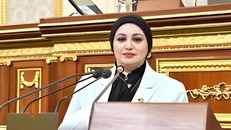 النائبة سولاف درويش تطالب بتوفير برامج تدريب وتأهيل للعمال لتصدير العمالة للخارج
