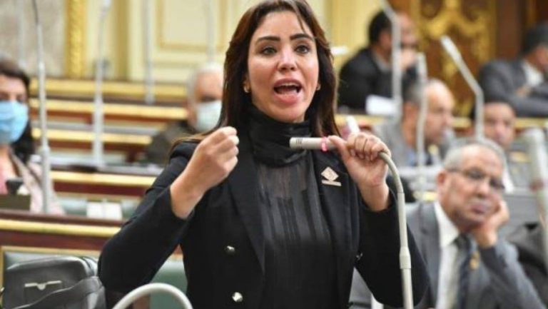 عضو اللجنة الاقتصادية بالنواب: الحكومة الجديدة مسؤولة عن بناء اقتصاد تنافسي وجاذب للاستثمارات
