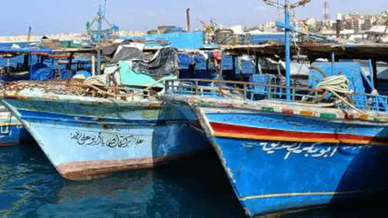 فساد الصيد في مرسى مطروح .. هل يُسرق حق الصيادين
