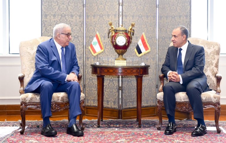 عبد العاطي: مصر تواصل جهودها لوقف إطلاق النار في غزة