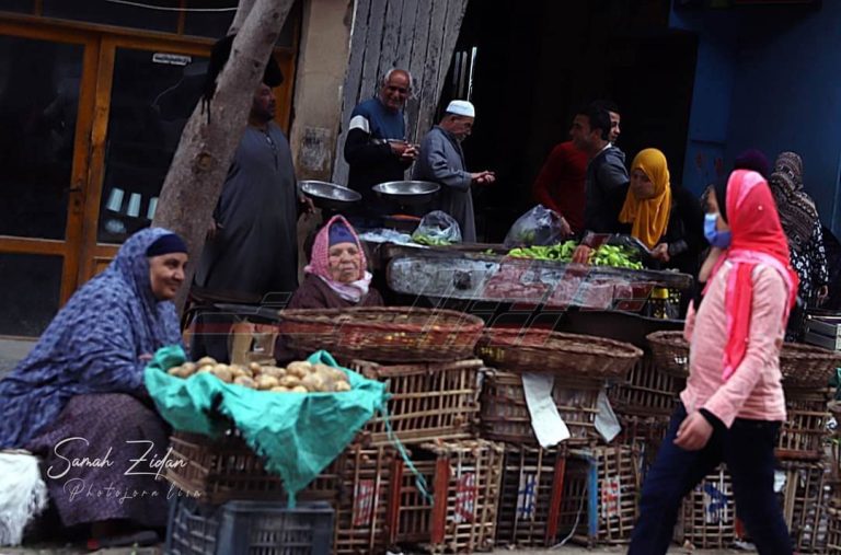 المرأة المصرية: كفاح العيش والكرامة بقصص ملهمة
