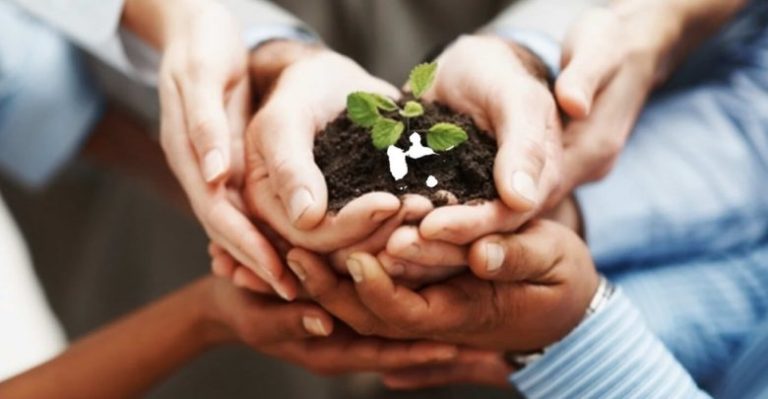 المسؤولية الاجتماعية: دور الشركات في دعم المجتمع المصري