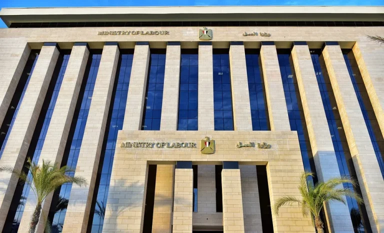 وزارة العمل تعلن عن 1450 فرصة عمل جديدة للشباب وذوي القدرات الخاصة في محافظة الشرقية.