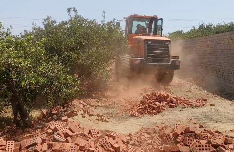 الاستيلاء على أملاك الدولة في الوادي الجديد: مَن يقف وراء تفويت الأراضي العامة
