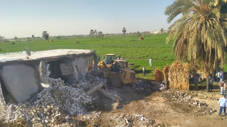 سرقة الأراضي الزراعية في المنيا: شبكة فساد كبيرة أم مجرد حوادث فردية