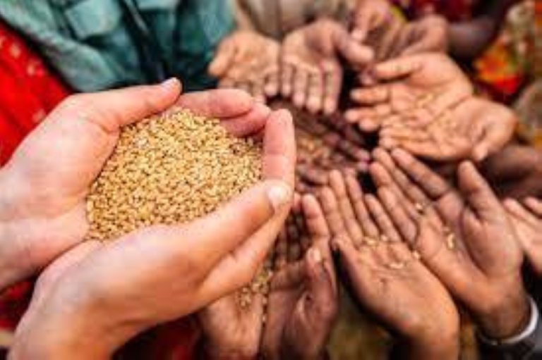 الأطراف الغامضة والصفقات الفاسدة التي تُهدد الأمن الغذائي في الشرقية