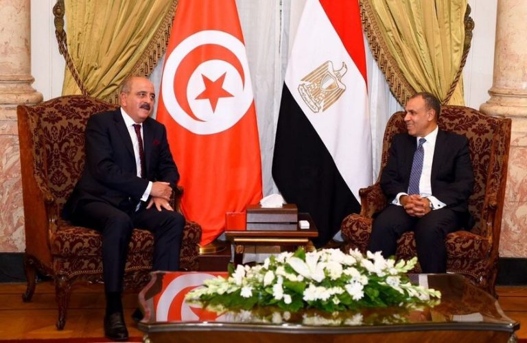 تنسيق مصري تونسي في عدد من قضايا المنطقة